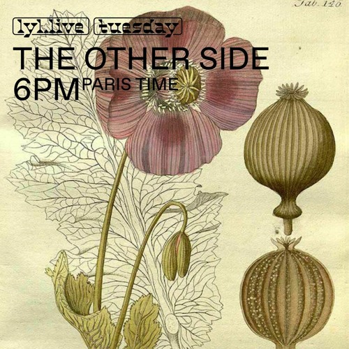 The Other Side 46, Lyl Radio 22/06/21 (extract from Another Party In My Head)