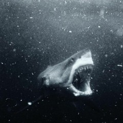 2021 cheema playlist