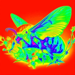 Tripes w/ Sklaer, DJ Chuimix, Nochichi, NKT, Kick21 et Mush (21/12/23)