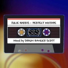 SBS My Perfect Mixtape 15 Julie Harris