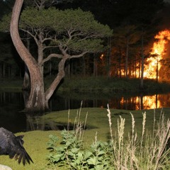 tout seul dans le theme ⊹