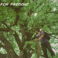 Well Hello Freddie