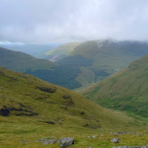 Highlandscapes for (contra)bass clarinet and string trio