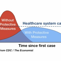 What’s At Stake - Flatten The Curve To Respect Carrying Capacity