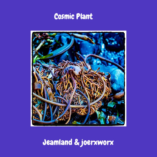 Cosmic Plant