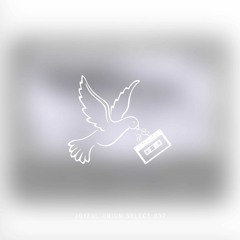Joyful Union Select 037