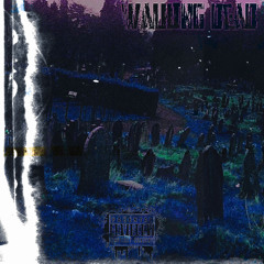 walking dead (prod. metlast x thislandis)