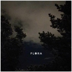 Prototype #1 2020 - 07 - 12