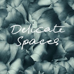 DELICATE SPACES - Inspired Production Music