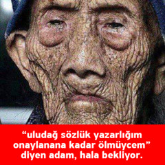 derste 31