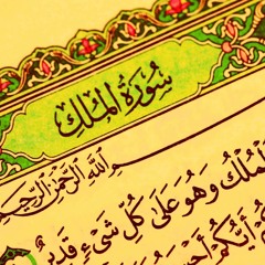 سورة الملك| ابراهيم ليمونة|Surat AlMulk