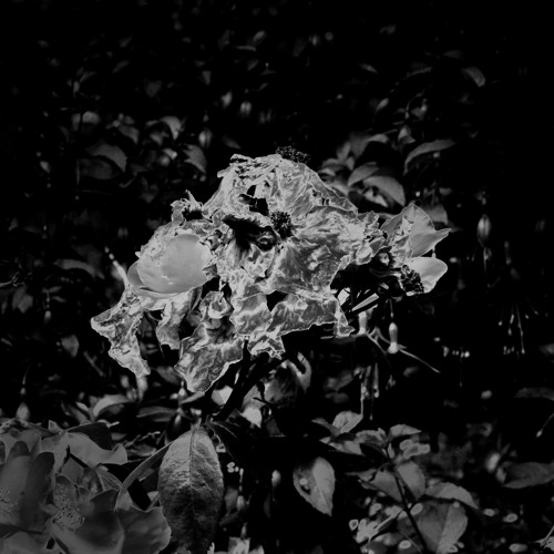 PREMIERE: unperson - No Longer, Not Yet [Negative Space]