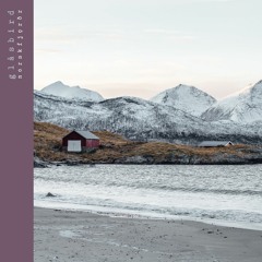 wlr071 glåsbird - norskfjǫrðr