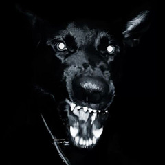 trying to live in my head