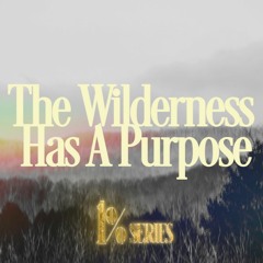The Wilderness Has a Purpose | 1% Series | David Bendett