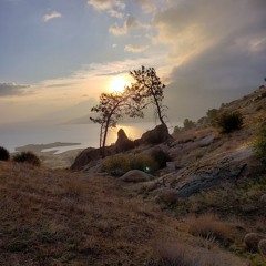 Remember the Mountain Bed