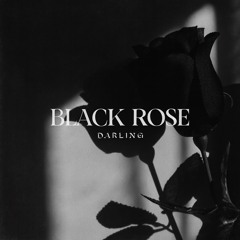 Black Rose