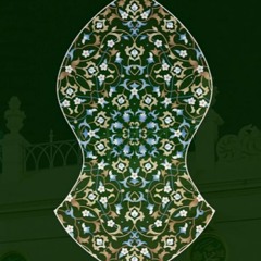 Ustadh Amjid Mahmood - Chapter 4 Shimmering Light