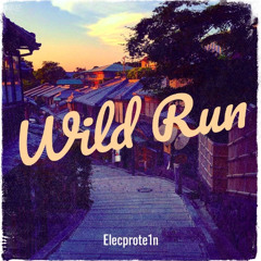 Wild Run