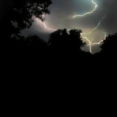 The Signs Are Everywhere