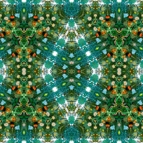 Rabbit Whole (Femme Flip)