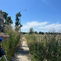 Useless ft. st jimmy (goji x ryo)