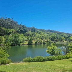 God’s Economy and His Eternal Plan