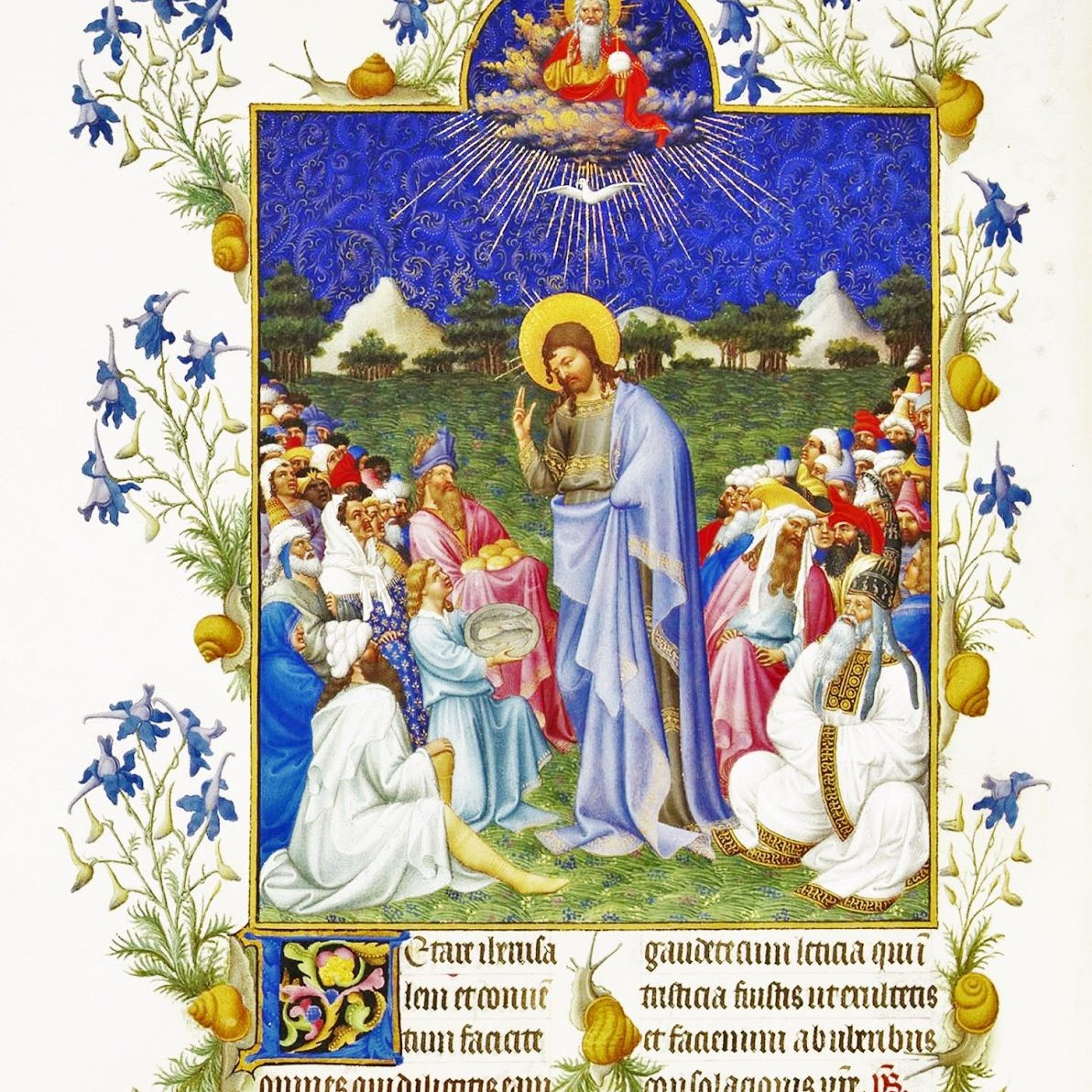 More Than Enough: Divine Providence and Our Collaboration - Homily - 17th Sunday of OT (Year B) episode artwork