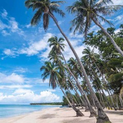 African Green: An Oasis Playlist