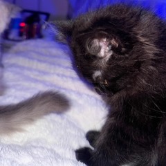 the difference ft. luvparaphernalia  (wvysel)