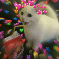 왜 아이라인이 짝짝이인 걸 전부 내 탓으로 돌리는 건데