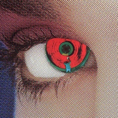 Hidden parts 08/08 - Wink (raw)