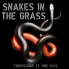 Snakes In The Grass feat. BMK Baby