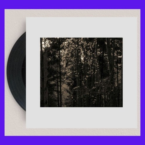 PREMIERE: Francois Dillinger - Dream Theif [Diffuse Reality]