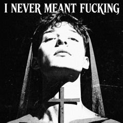 I NEVER MEANT FUCKING