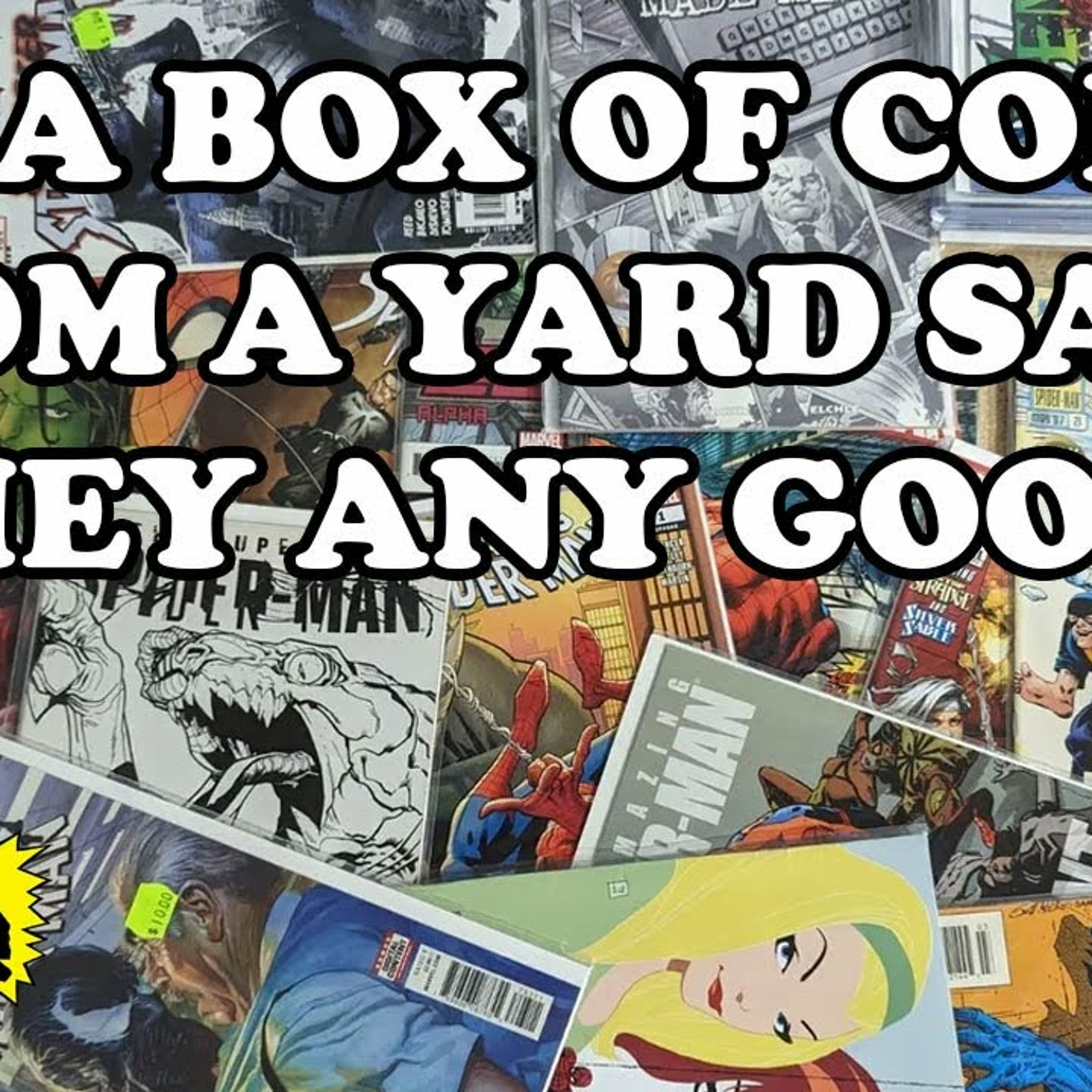 Yard Sale Bounty! A Long Box of Random Comics from a Neighbor! episode artwork