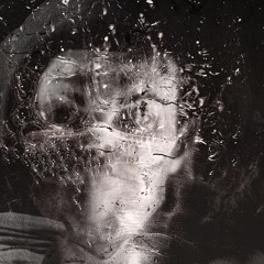 "Public Enemy" -- snippet preview