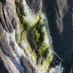 Vi Sees på Podium -Piano solo
