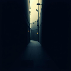 Midnight Reverie