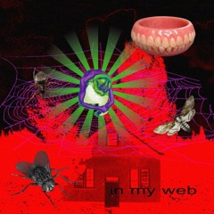 in my web