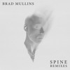 Скачать видео: Brad Mullins - Spine (Marcus Santoro Extended Remix)