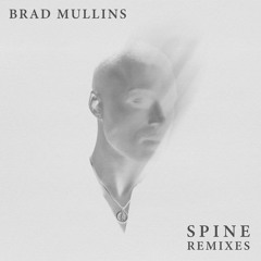 Brad Mullins - Spine (Marcus Santoro Extended Remix)