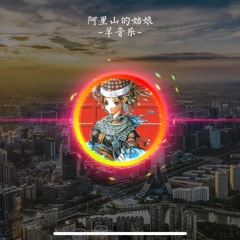 阿里山的姑娘phonk