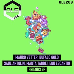 Saul Antolin, Mauro Vetter - Groovers Snippet