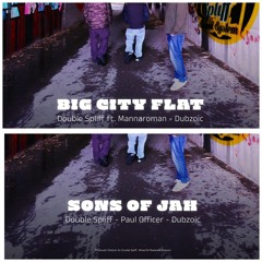 PROMO BIG CITY FLAT & SONS OF JAH (Double spliff meets Dubzoic)