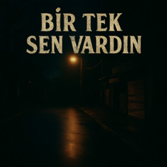 Bir Tek Sen Vardın.. V1.2