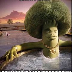 днище