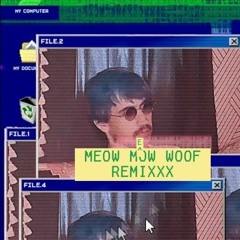 lose something you never had (meow meow woof remix)