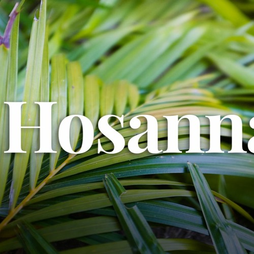 Stream Hosanna Palm Sunday 22 By Jeremiah Diegel Listen Online For stream-hosanna-palm-sunday-22-by-jeremiah-diegel-listen-online-for
