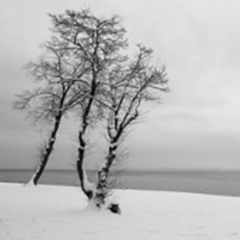 GAZEBO DAYDREAMS (ABOUT SOLITUDE)